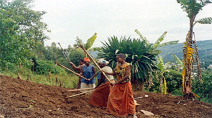 women digging